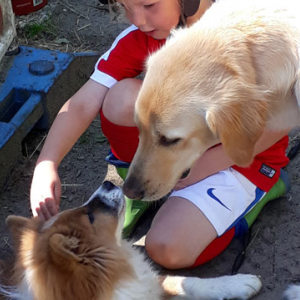 Kindergartenhund2017-4.jpg