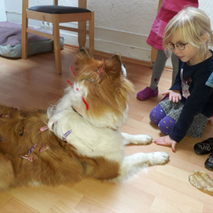 Kindergartenhund-Friseur-02.jpg