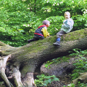waldtag13.jpg
