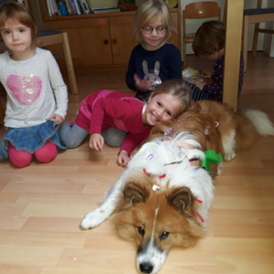 Kindergartenhund-Friseur-03.jpg