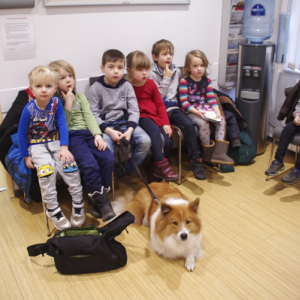 tierarztbesuch2020-2.jpg