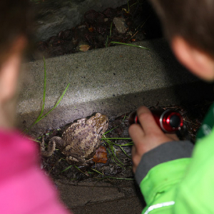 waldtag14.jpg