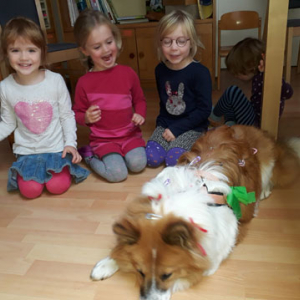 Kindergartenhund-Friseur-04.jpg