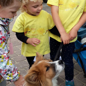 Kindergartenhund2017-1.jpg