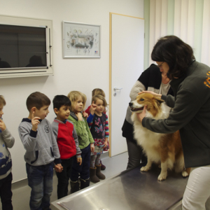 tierarztbesuch2020-3.jpg