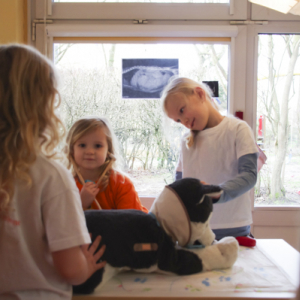 tierarztpraxis-im-kindergarten-4.jpg