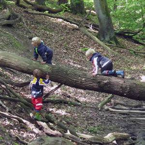 waldtag05.jpg