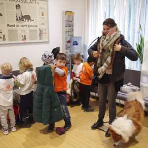 tierarztbesuch2020-11.jpg