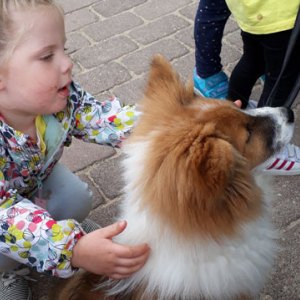Kindergartenhund2017-2.jpg