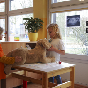 tierarztpraxis-im-kindergarten-3.jpg