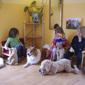 tierarztpraxis-im-kindergarten-7.jpg