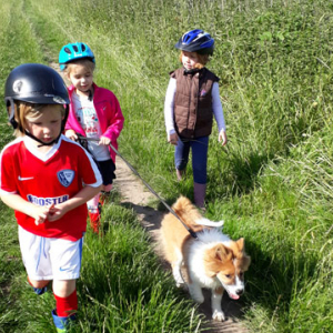 Kindergartenhund2017-3.jpg