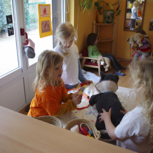 tierarztpraxis-im-kindergarten-5.jpg