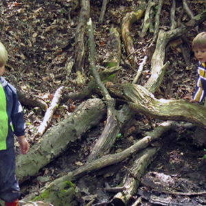waldtag09.jpg