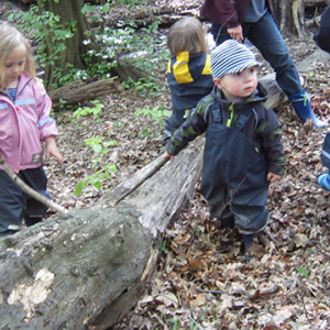waldtag04.jpg